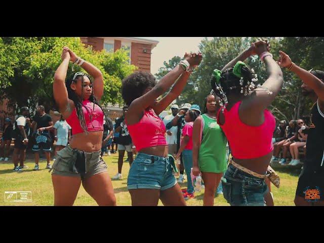 AKA STROLL HOTTTT! ALPHA KAPPA ALPHA SORORITY, INC. [ ATLANTA GREEK PICNIC '23]