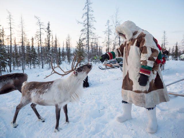 Ненцы. За Полярным Кругом. ЯМАЛ