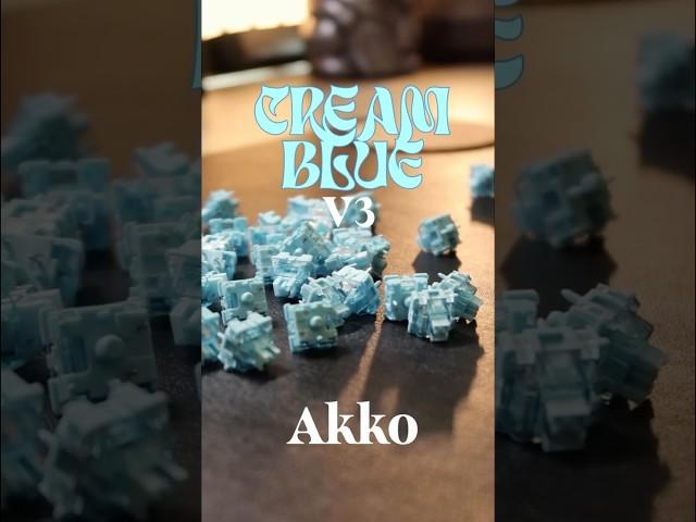 Akko Cream Blue V3  #akko #keyboard  #keyboardswitches #keybordasmr