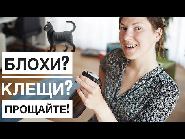 От блох и клещей навсегда! 3 натуральных способа защиты кота