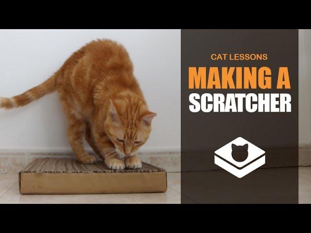 How to Make a Cat Scratcher