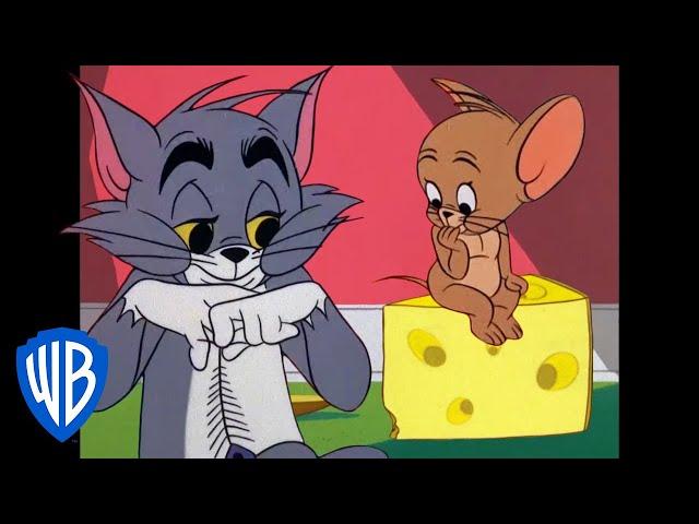 Tom & Jerry | Best Friends For(N)ever | Classic Cartoon Compilation | @WB Kids