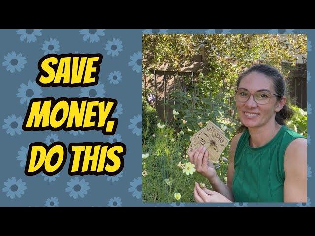 Seed Saving Tips