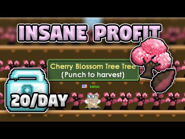 FARMING CHERRY BLOSSOM TREE (EASY PURITY MOONCAKE) 20 DLS PER DAY ?! - GROWTOPIA HARVEST FEST PROFIT