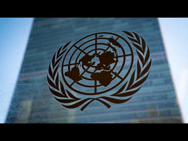 ‘Hardly surprising’: UN acting as form of terrorist ‘sympathiser’ since October 7