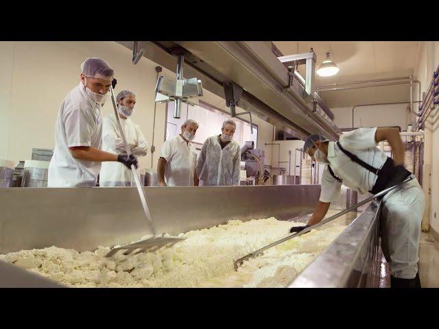 Acres and Avenues: Making Cheese