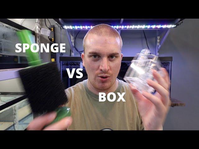 Sponge Filter VS Box Filter