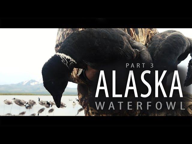 Alaska Adventure: Part 3 | Windsock Decoys on a Loafing Beach