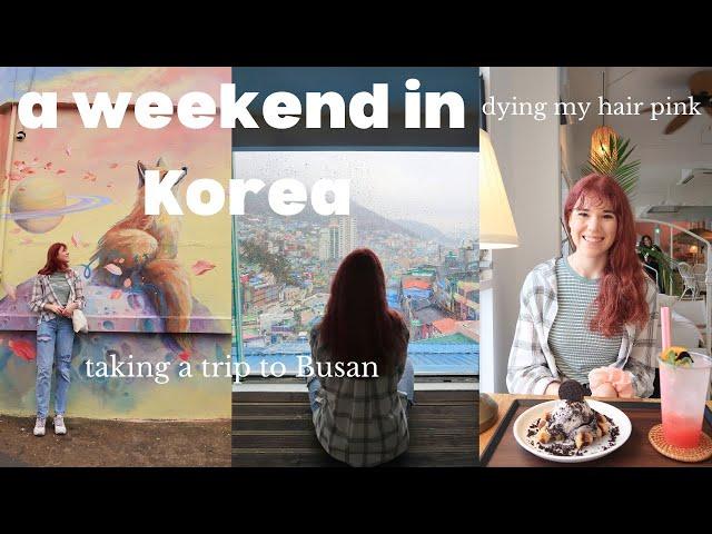 a weekend of my life in Korea  (dying my hair pink, 24 hours in Busan )