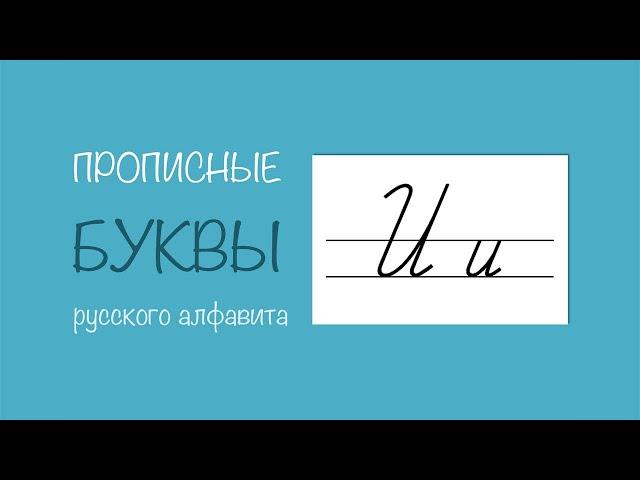 Заглавная и строчная буква И. Прописные буквы русского алфавита. Учимся красиво писать.