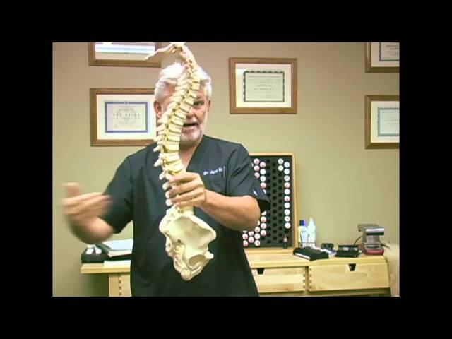 Car & Auto Accidents & Chiropractic Care, Austin Chiropractor Jeff Echols