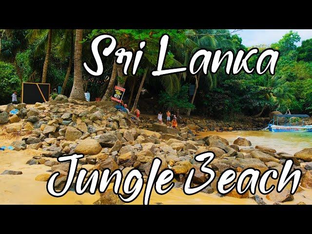 Unawatuna Jungle Beach. 4K Music Video.