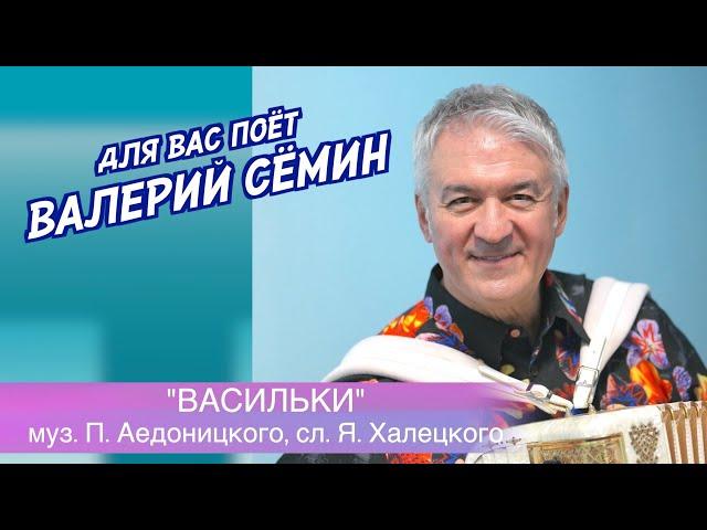 Песня из прошлого под баянчик от ВАЛЕРИЯ СЁМИНА ️ "ВАСИЛЬКИ". Очень душевно и красиво ️ ️ ️