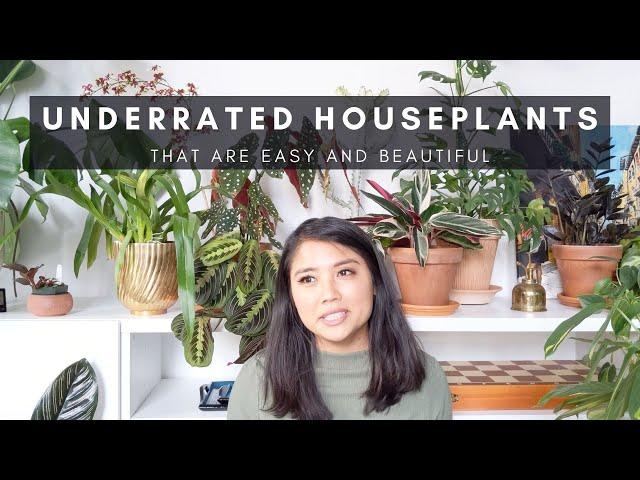 Underrated Indoor Houseplants | Easy Affordable Calathea & Maranta | Plants of Instagram | Ep 111