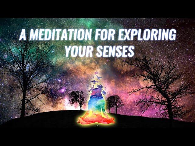 A Meditation for Exploring Your Senses - Mindfulness Exercises