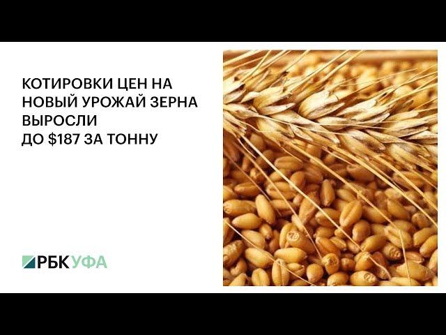 КОТИРОВКИ ЦЕН НА НОВЫЙ УРОЖАЙ ЗЕРНА ВЫРОСЛИ ДО $187 ЗА ТОННУ