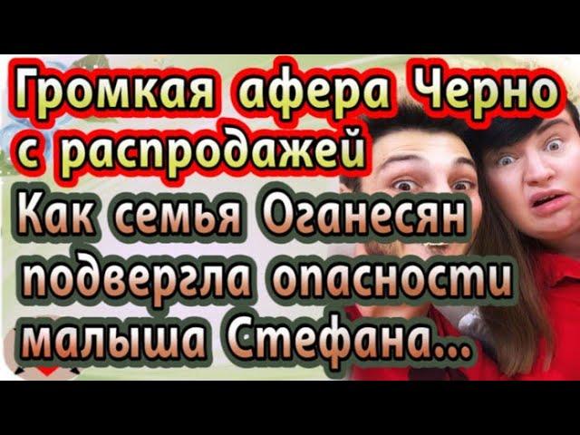 Дом 2 новости 15 ноября (эфир 20.11.20) Громкая афера с распродажей Черно