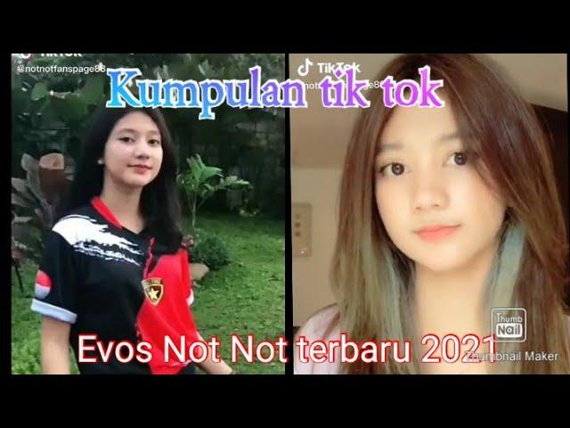 Kumpulan tik tok Evos not not imut Terbaru 2021 bikin baper parah