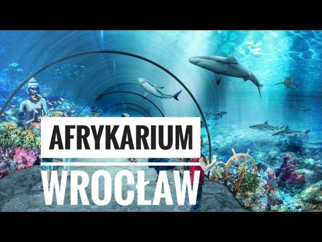 AFRYKARIUM WROCŁAW / ОКЕАНАРИУМ ВО ВРОЦЛАВЕ / ZOO / Зоопарк во Вроцлаве / Жизнь в Польше