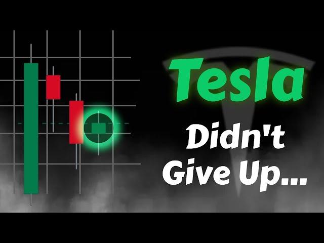 Tesla Stock Analysis | Didn't Give Up | Tesla Stock Price Prediction