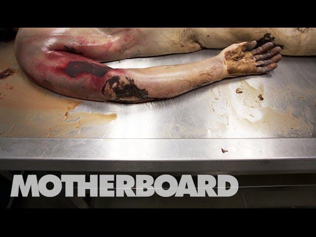 Reviving Dead Bodies in Mexico (Trailer)