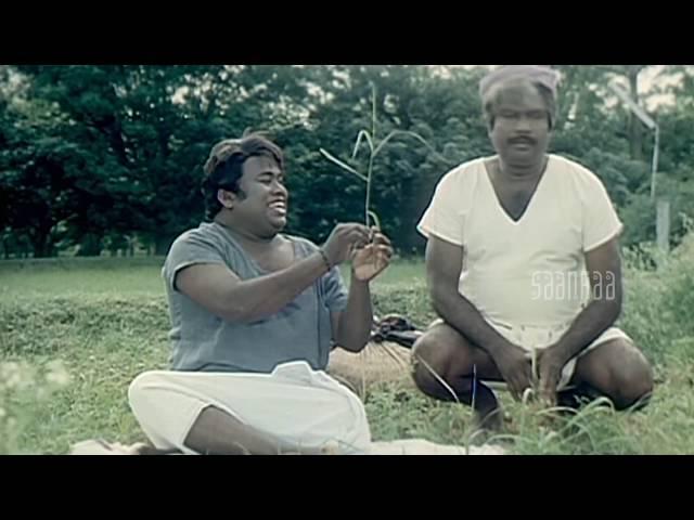 Senthil asking question to Goundamani | Chinna Gounder tamil movie | Vijayakanth | Manorama