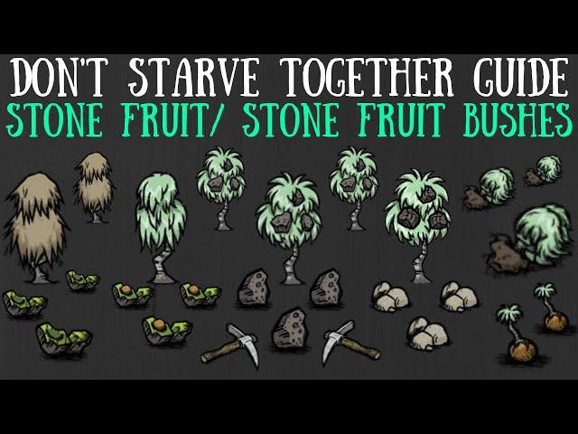 Stone Fruit Bushes & Stone Fruit - Don't Starve Together Guide [Return of Them] [Lunar Island]