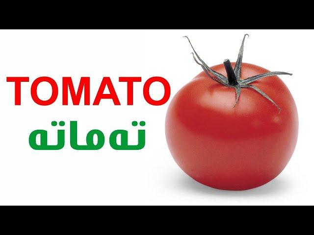 Aras Koyi - Tomato (Official Remastered Video)