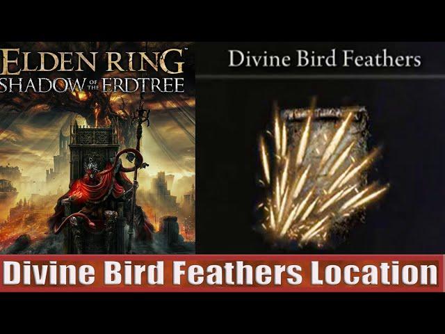 Divine Bird Feathers Location (Holy Incantations) Elden Ring Shadow of the Erdtree