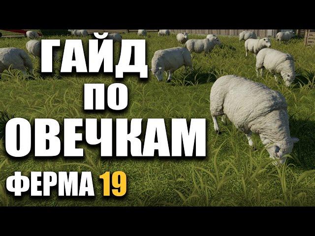 GUIDE FOR LAMPS Farming Simulator 19 | BREEDING LAMPS IN THE FARM 19