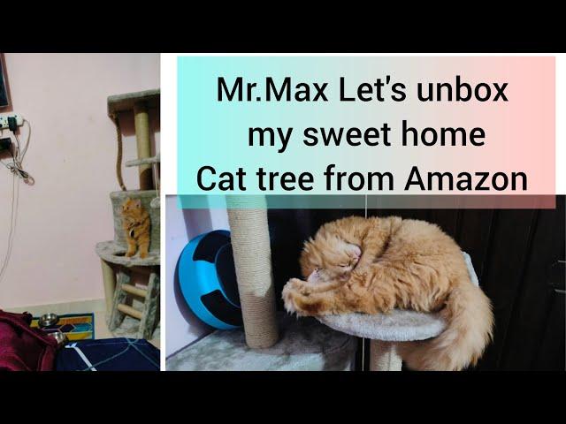 Amazon Basics cat tree unboxing video