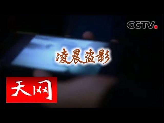 《天网》 凌晨盗影 | CCTV社会与法