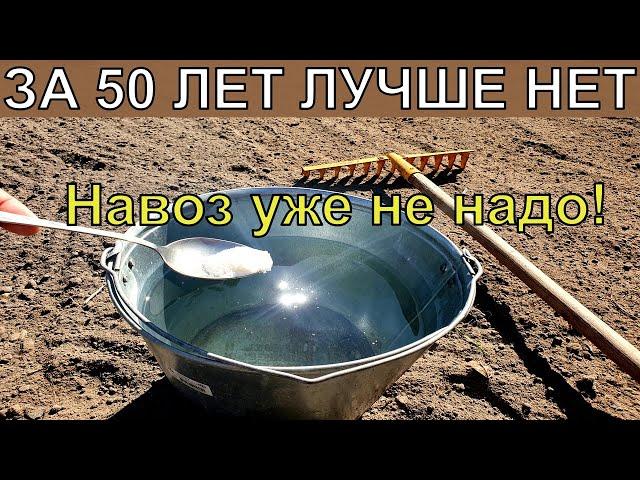 1 Ложку на ведро воды и земля как новая, пролейте этим землю для обильного урожая всего!