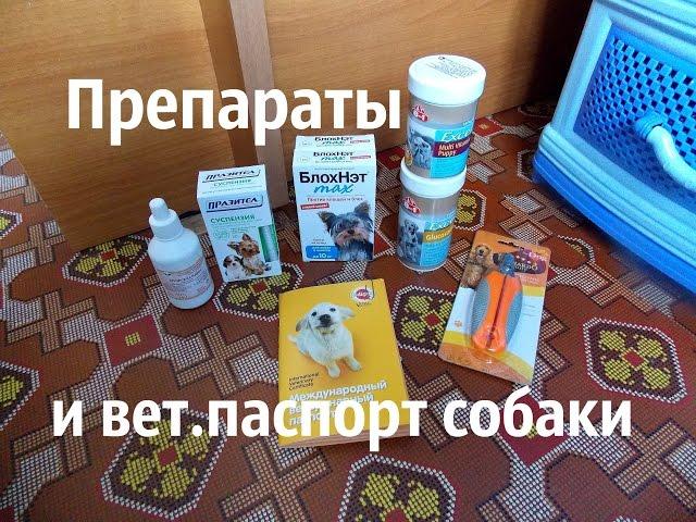 Препараты и ветеринарный паспорт собаки.