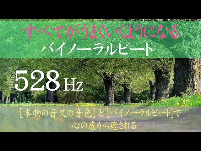 【528Hz×バイノーラルビート】奇跡のソルフェジオ周波数528Hz｜DNAレベルですべてを癒す｜悩みが解消する｜θ波→δ波