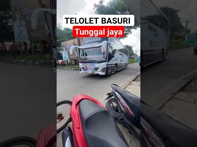 TUNGGAL JAYA BASURI #tunggaljaya #bus #buspariwisata #telolet #teloletbasuri #teloletbus