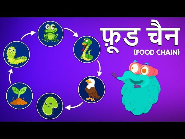 फ़ूड चैन | खाद्य श्रृंखला | What Is Food Chain In Hindi | Dr.Binocs Show | Binocs Ki Duniya