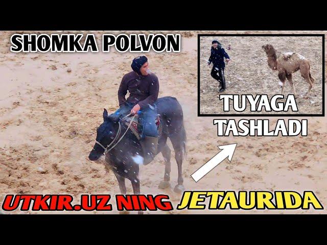 SHOMKA POLVON TUYAGA TASHLADI UTKIR UZ NING "JETOUR" NOMLI OTIDA