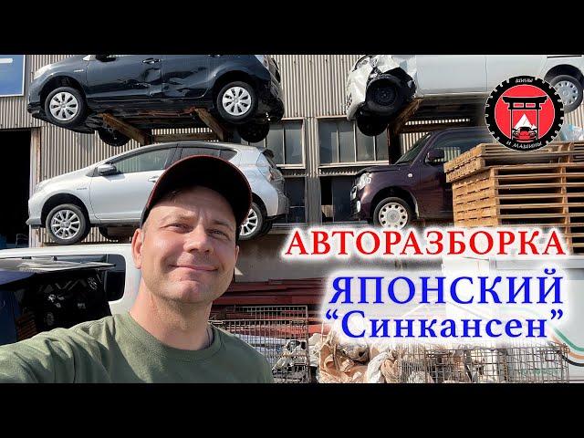 Авторазборка. Японский «Синкансен». Ночной клуб.