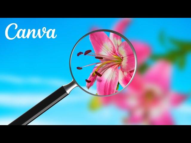 How to Make a Magnifying Effect on Canva