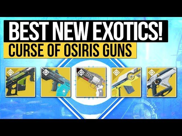 Destiny 2 | HOW GOOD ARE THEY? - Reviewing all New Exotic Weapons in Curse of Osiris!