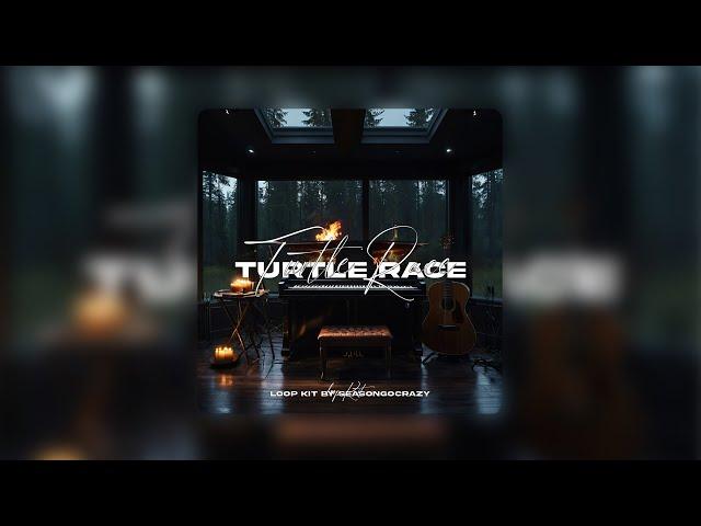 (FREE 35+) Rod Wave Loop Kit + Midi Kit - Turtle Race (NBA YoungBoy, Toosii, Lil Durk, etc.)