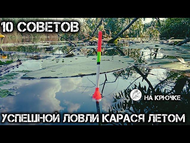 Ловля карася летом. Эти советы набьют твой садок до завязки карасём. #рыбалка #карась