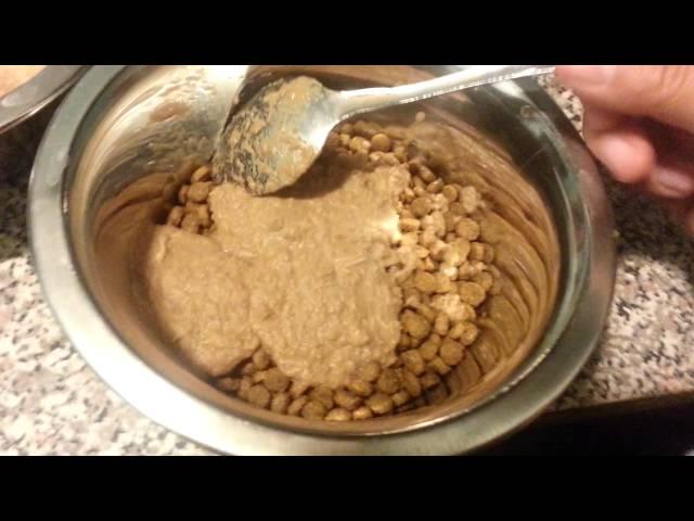 How to make bone broth meal for dogs