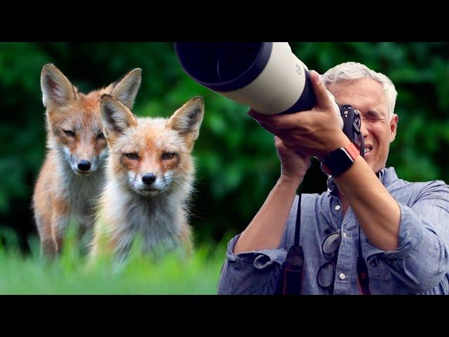 Approach & photograph wildlife (best camera settings!)