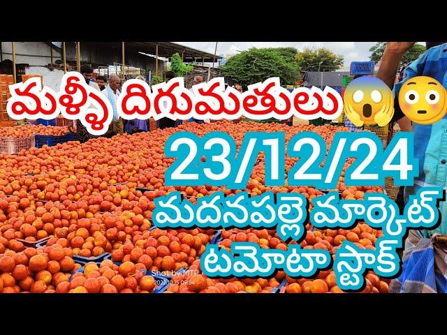 23-12-24 Madanapalle Tomato Market price Today || Today Tomato Market Rate in Madanapalle #today