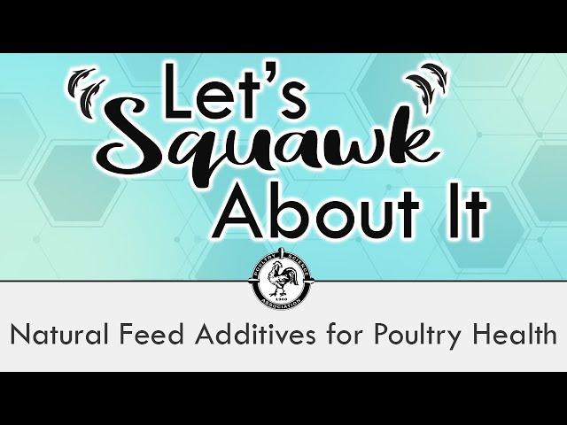 Let's Squawk About It (S2 E8): Natural Feed Additives for Poultry Health