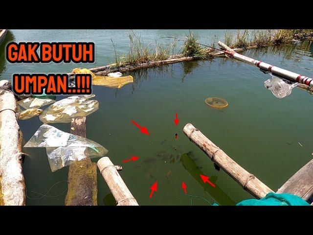 MANCING DI SPOT INI GAK BUTUH UMPAN IKANNYA KELEWAT GANAS || mancing ikan red devil NAHOL MANIA