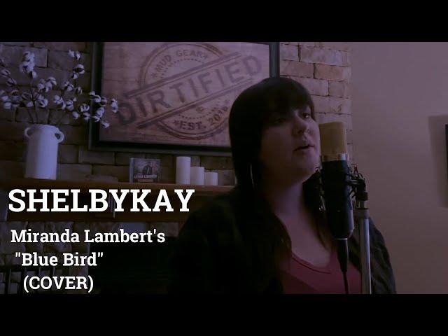 Shelbykay - Miranda Lambert's "Blue Bird" (COVER/REMIX)