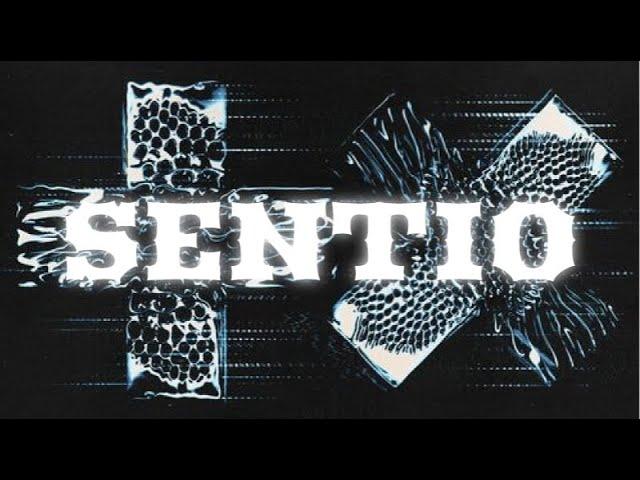 Martin Garrix SENTIO Full Album Mix by Sakul